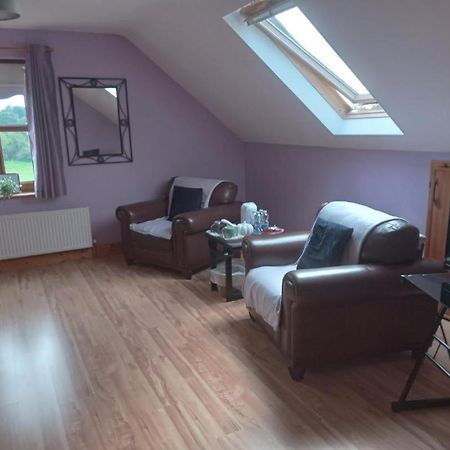 Ballytigue House Clarecastle Екстер'єр фото