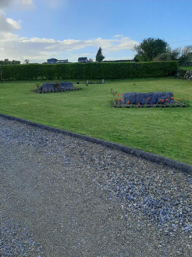 Ballytigue House Clarecastle Екстер'єр фото