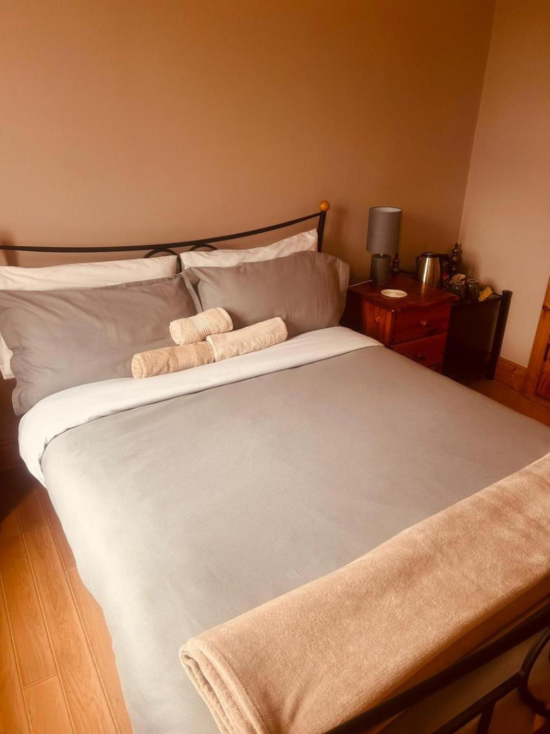 Ballytigue House Clarecastle Екстер'єр фото