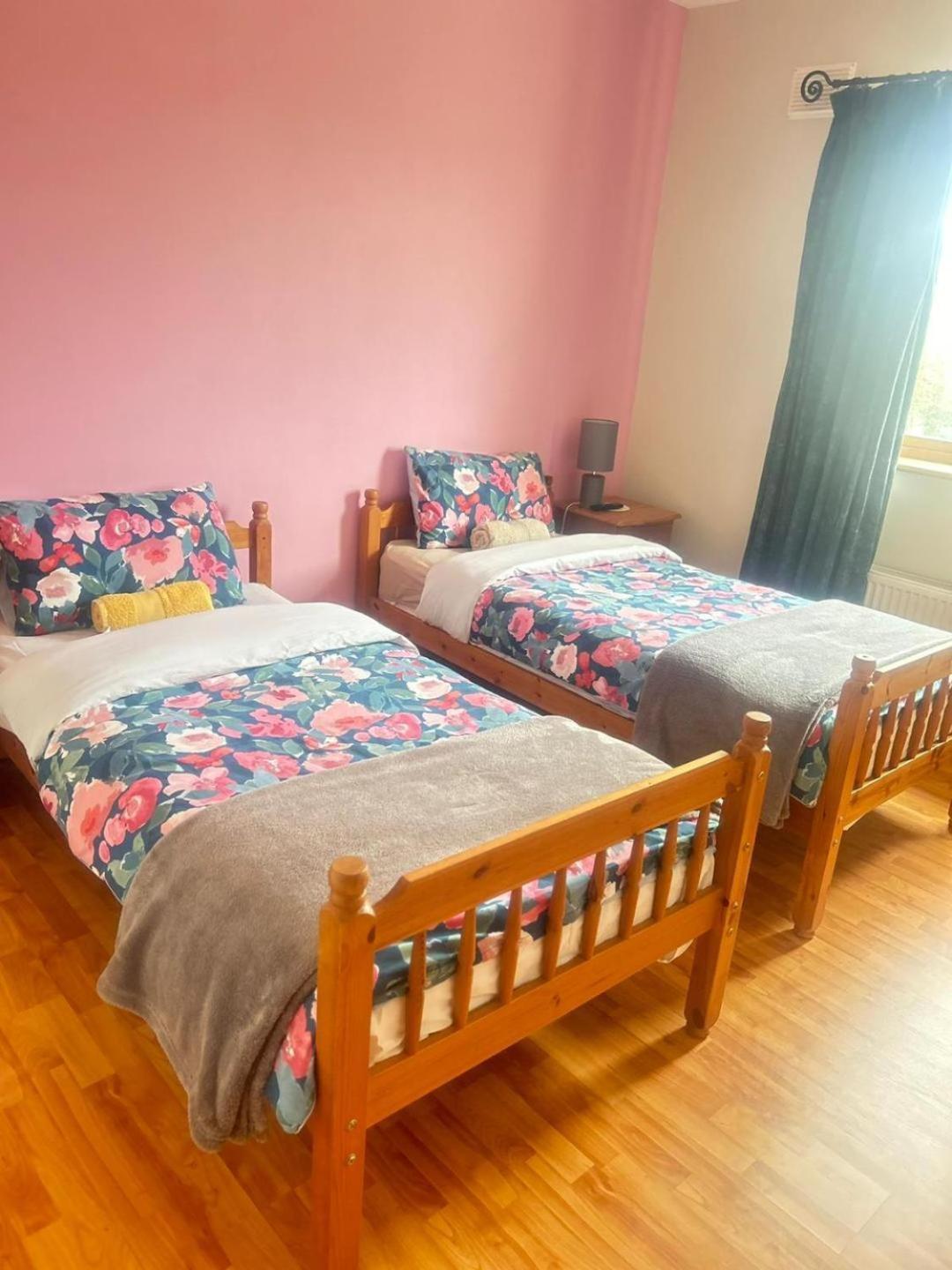 Ballytigue House Clarecastle Екстер'єр фото