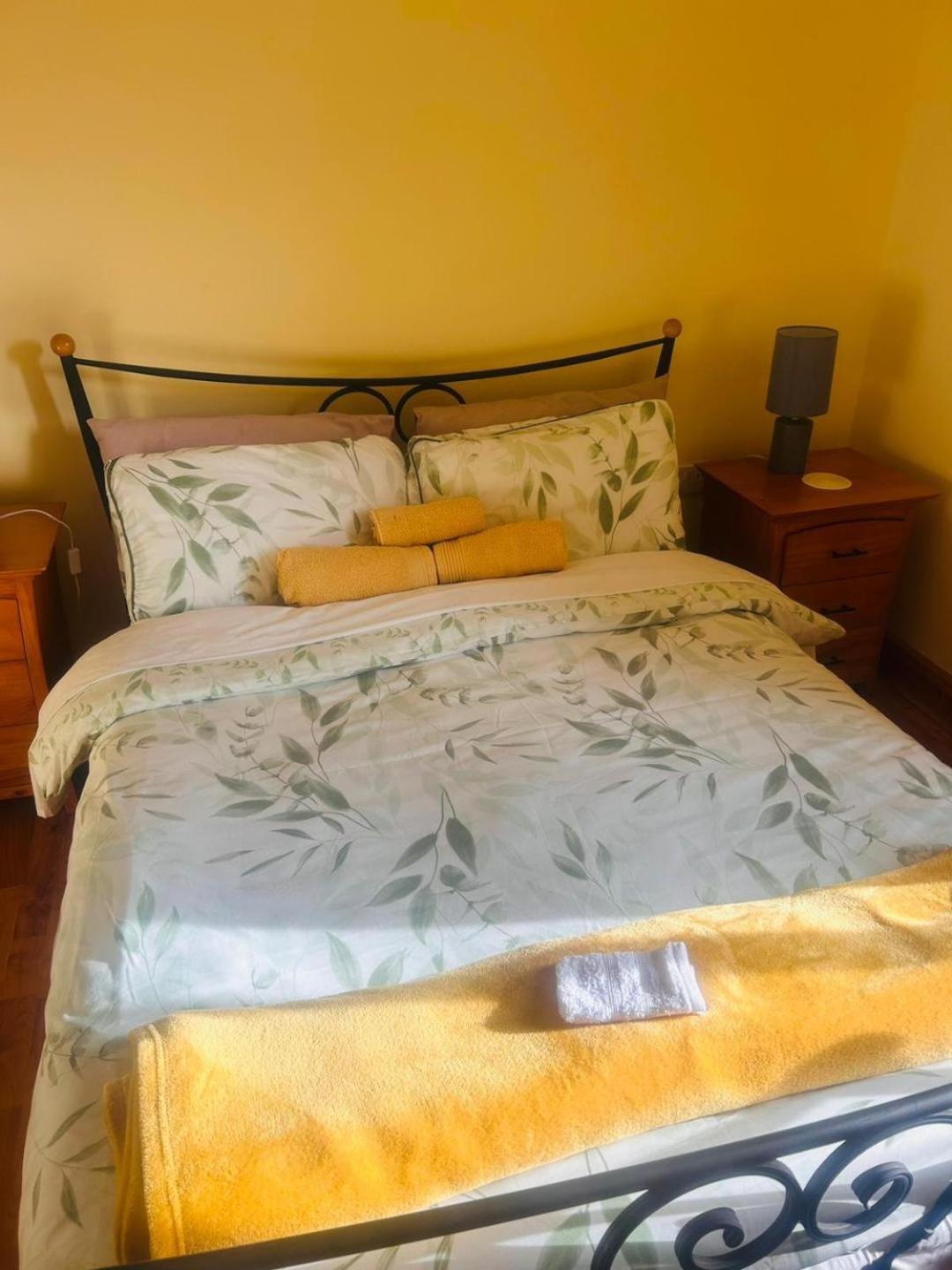 Ballytigue House Clarecastle Екстер'єр фото
