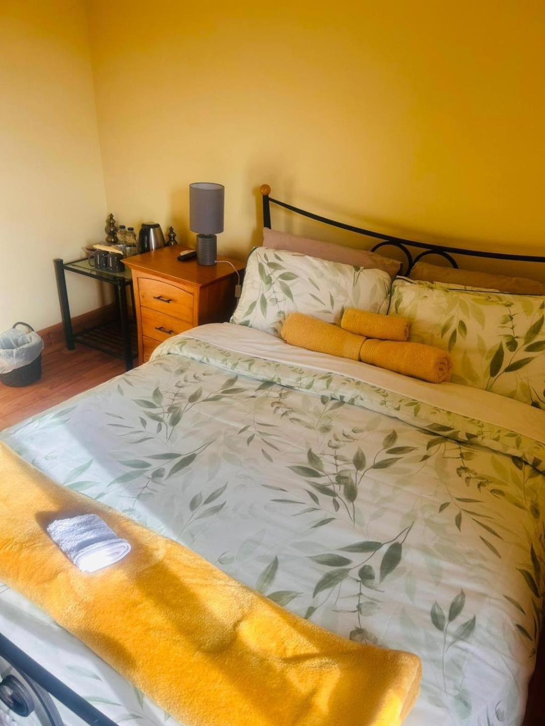 Ballytigue House Clarecastle Екстер'єр фото