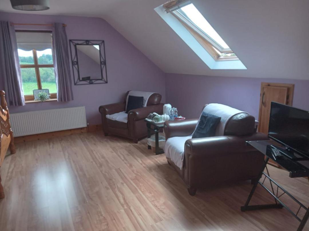 Ballytigue House Clarecastle Екстер'єр фото