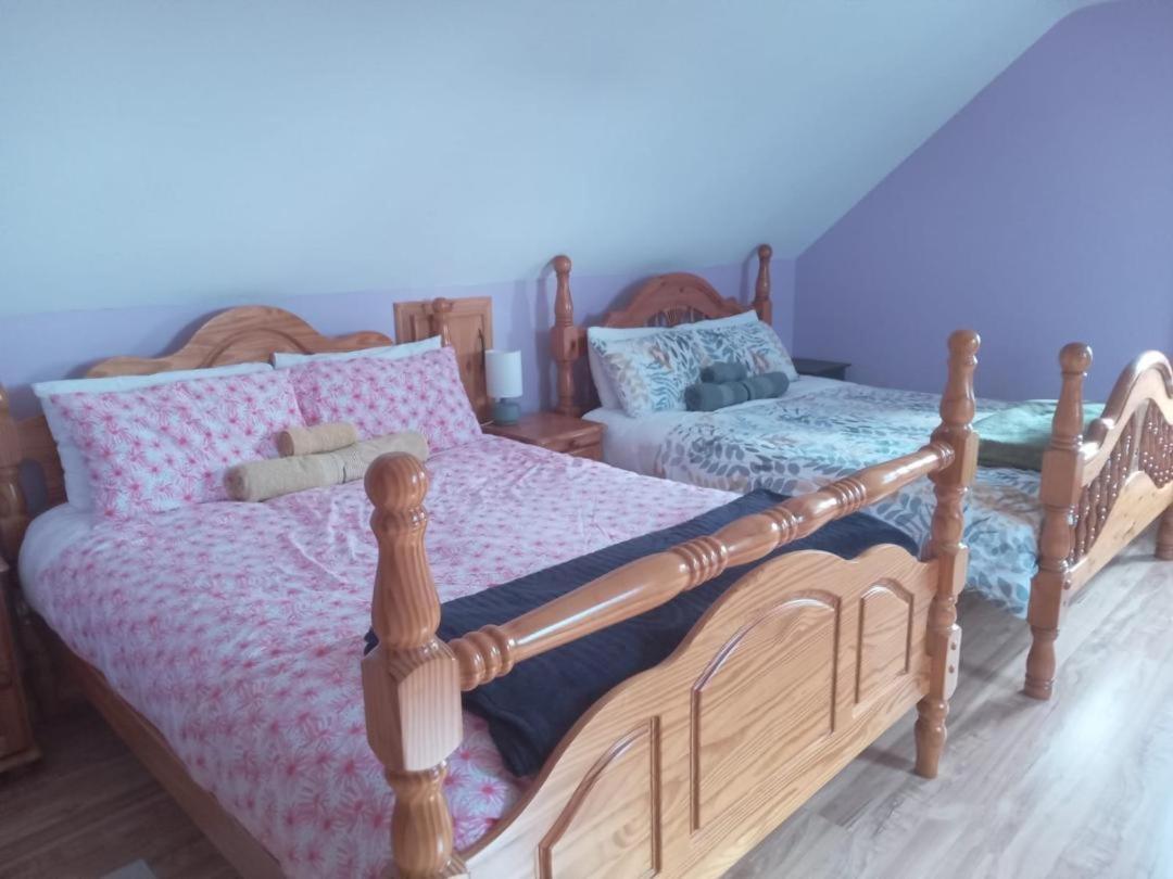 Ballytigue House Clarecastle Екстер'єр фото