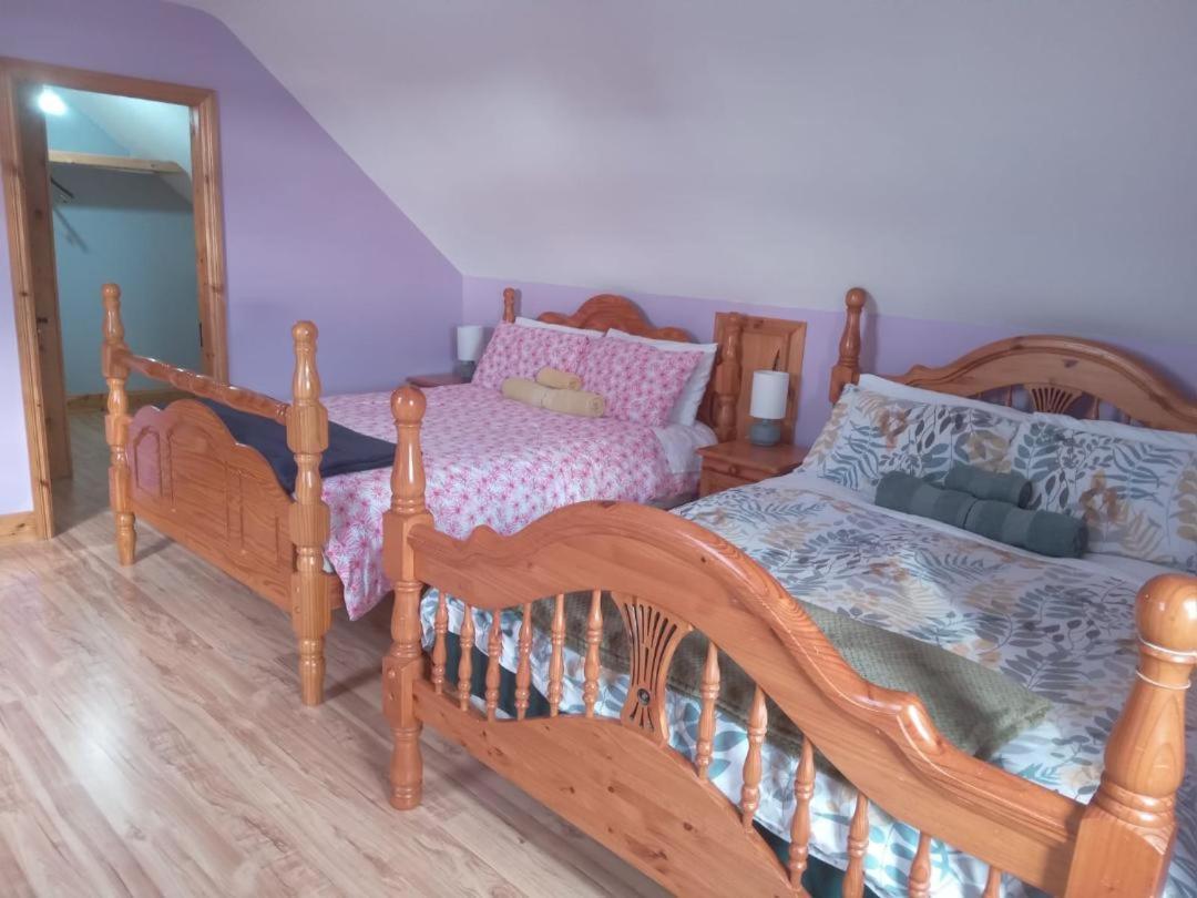 Ballytigue House Clarecastle Екстер'єр фото